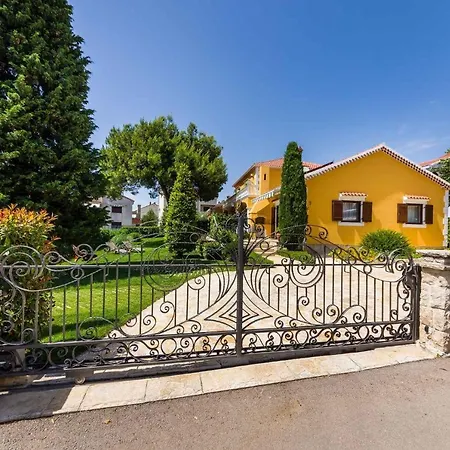 In - Riviera 7863 זאדאר